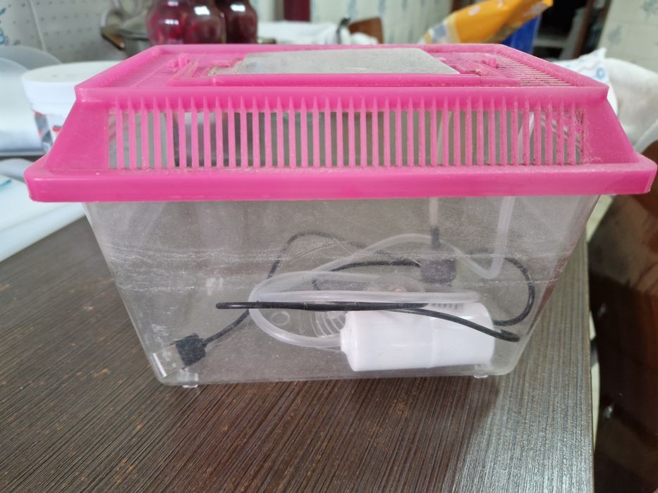 Aquário para peixe pequeno com bomba