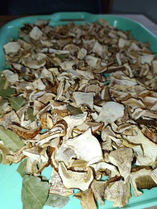 Suszone borowiki/prawdziwki