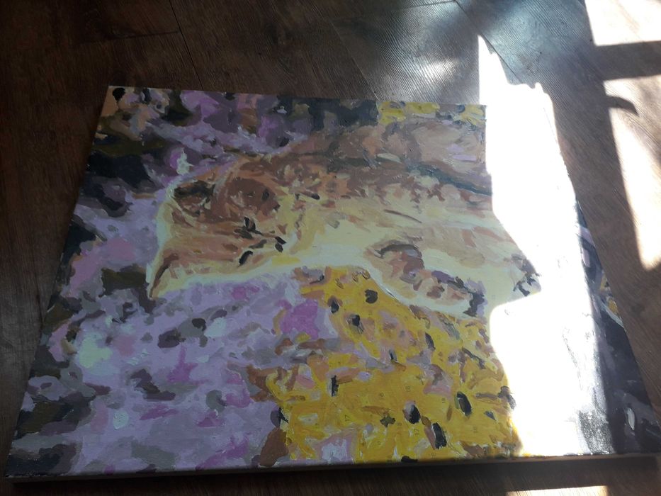 Obraz na płótnie Kotek