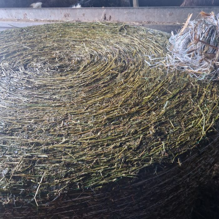 Siano sianokiszonka ze stodoły cena z transportem