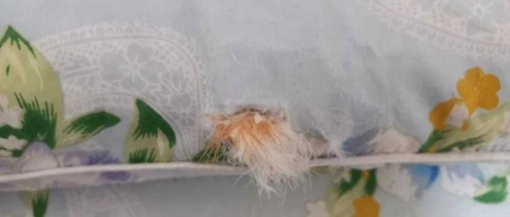 Подушки пух перо НОВЕ