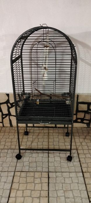 Vendo gaiola XXL para papagaios