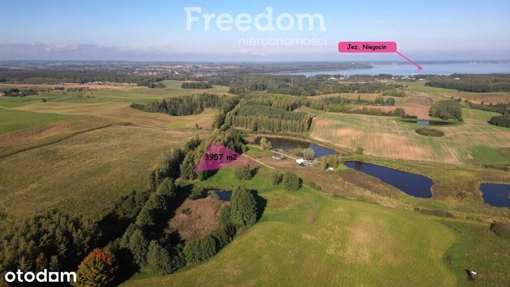 Malownicza działka z zagajnikiem na Mazurach-3957m