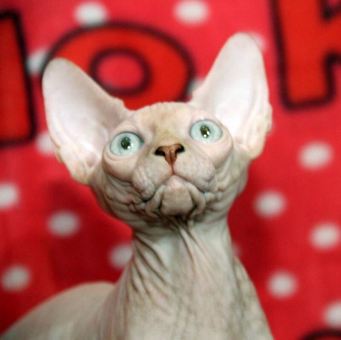 Супер красивые малыши