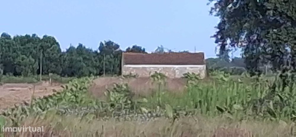 Excelente terreno agrícola com 5.000 m² em Marinhais — Salvaterra De Magos E Foros De Salvaterra, Santarém