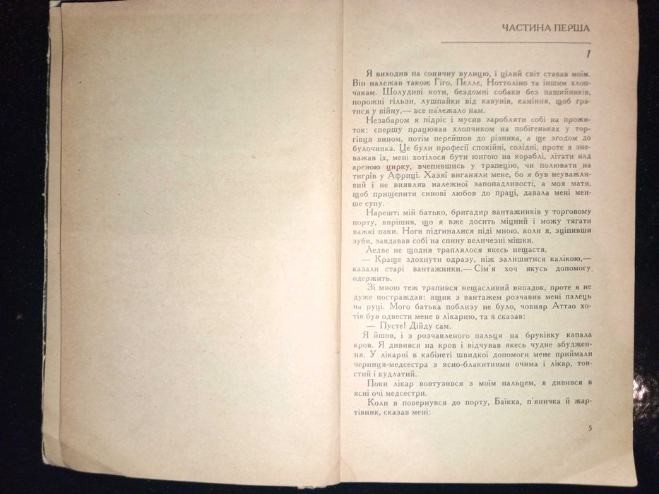 Книга 1973 р. Помилуваний смертю Сільвано Чеккеріні.