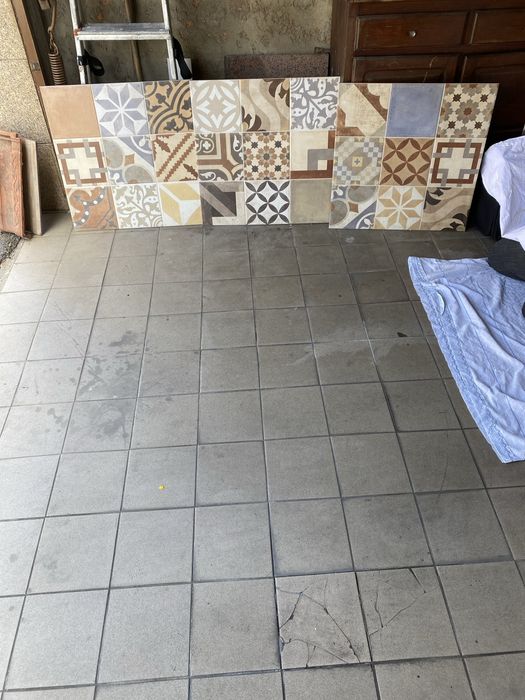 Tijoleira florida e rustica