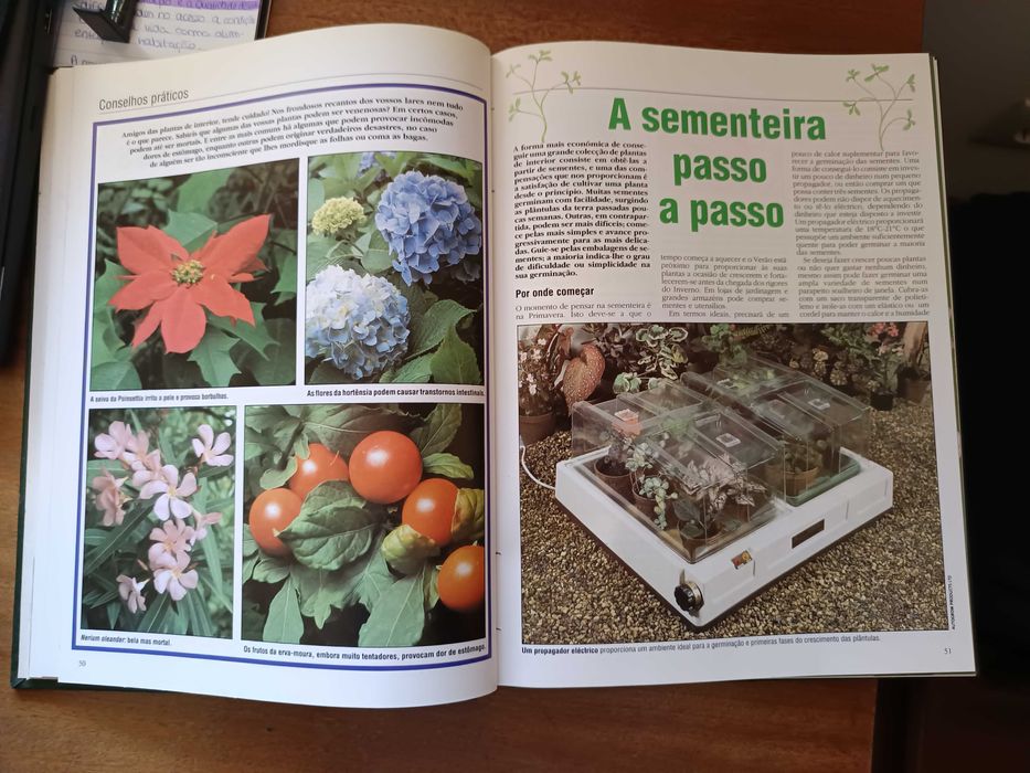 Para ter plantas saudáveis e viçosas!