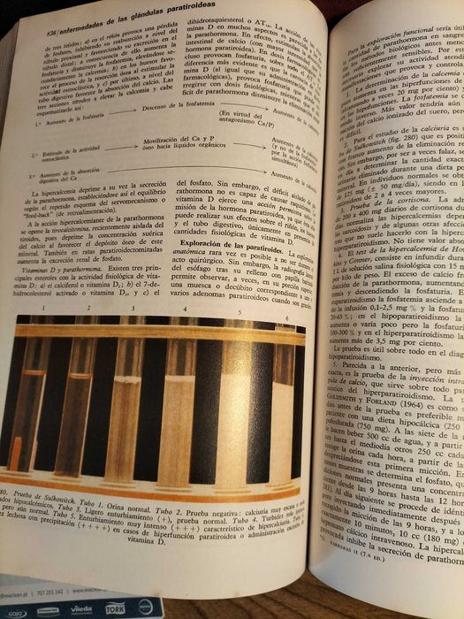 livro "Medicina Interna: Compendio Práctico de Patología Médica y Terapéutica Clínica" - CXL6