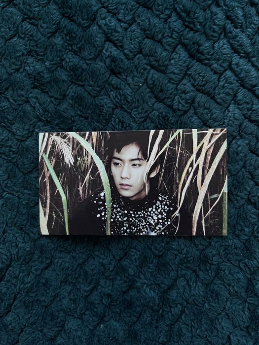 Karta Gongchan B1A4 - In the wind