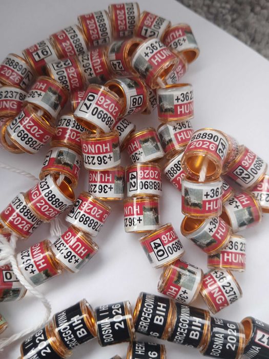 Obrączki dla gołębi pocztowych 2026