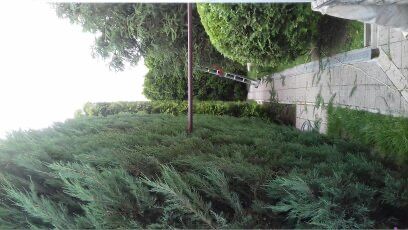 Спил деревьев любой сложности