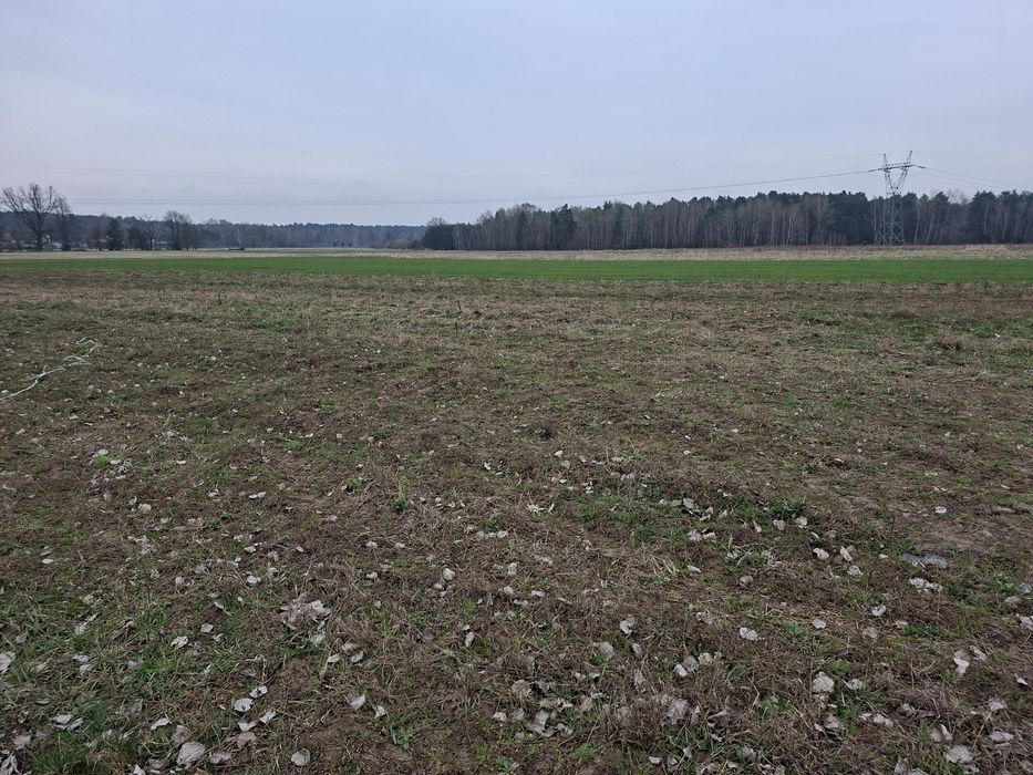Działki budowlane