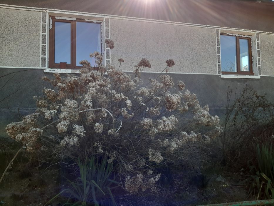 ТермПродаж житлового будинку. 84м² . ОТИНІЯ . 39соток. Комунікації