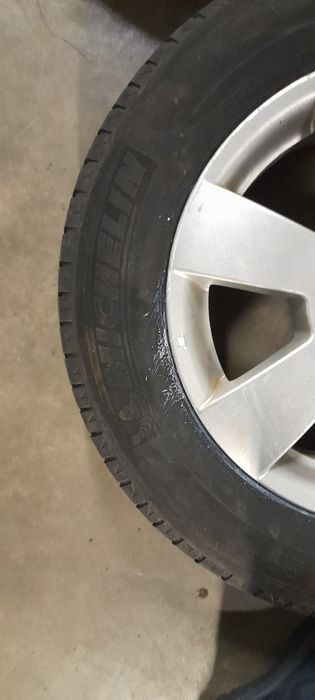 Комлект дисків з літньою ризиною