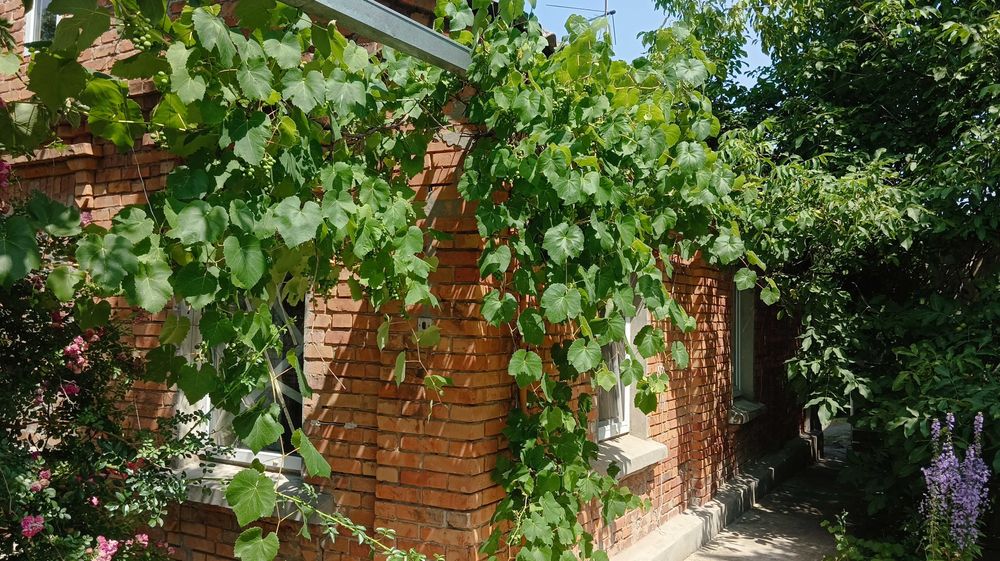 D1A Продам дом Холодная Гора, пер. Варшавский.