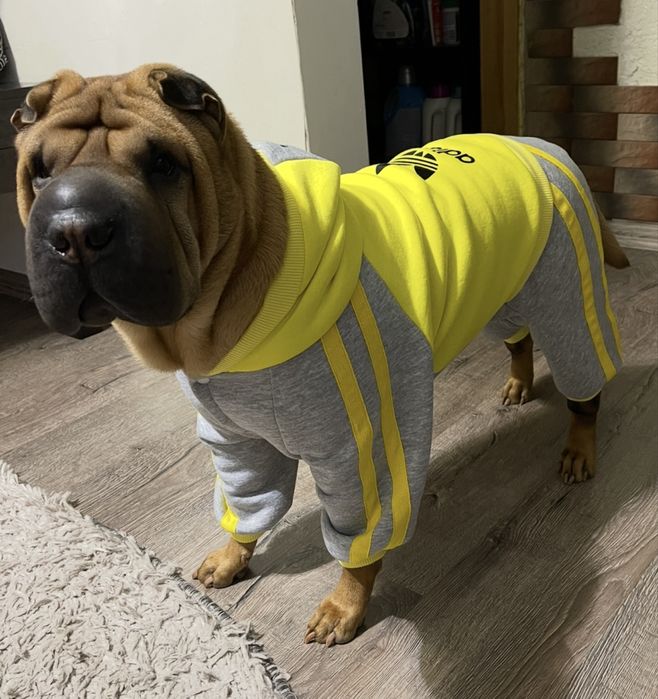 Продам комбенизон для собаки