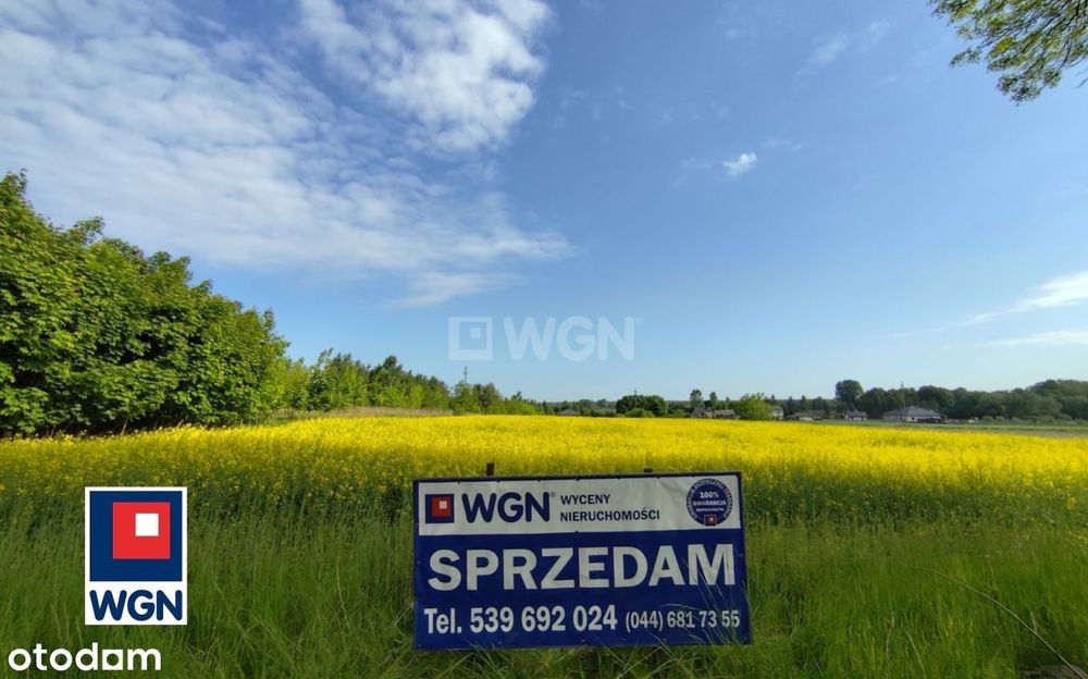 Działka, Kodrąb
