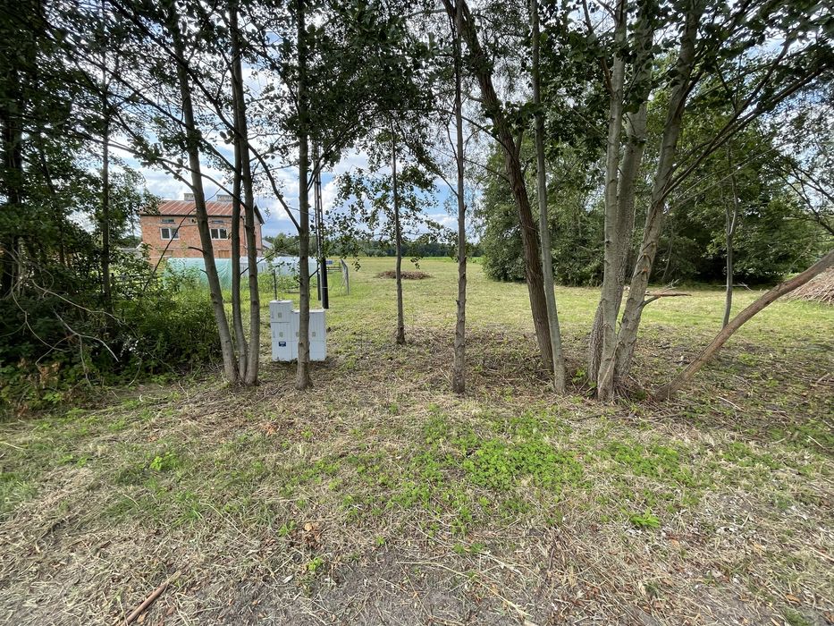 Koszenie, przycinanie  - prace porządkowe