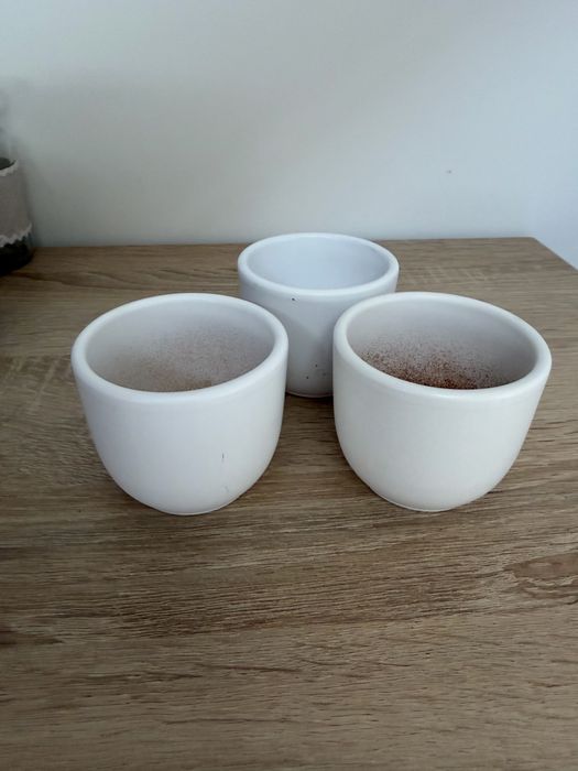3 białe osłonki