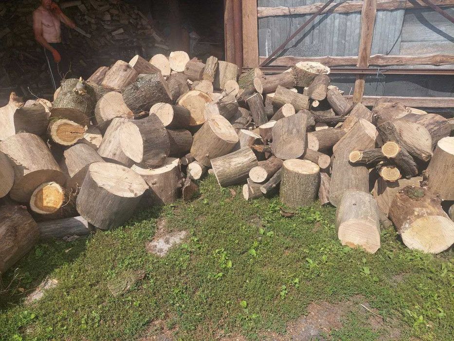 Дрова рубані та в колодках