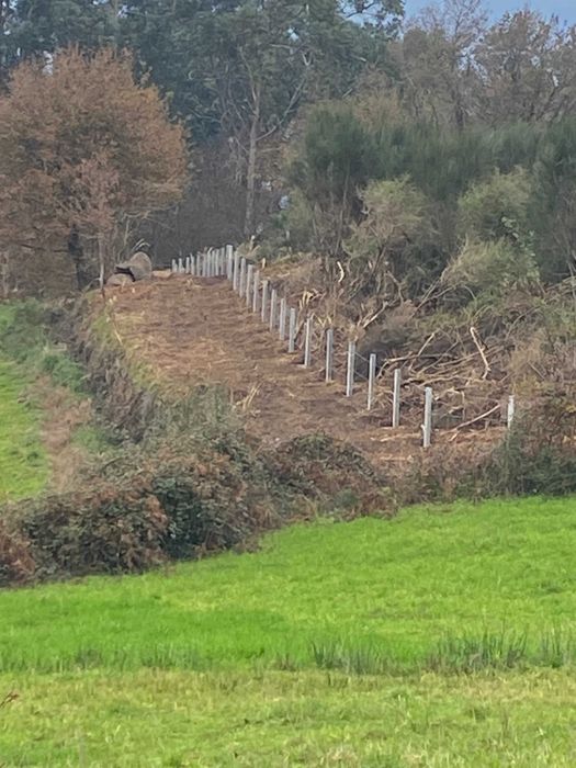 Terreno 10.000 m/2 com mina de água permanente / 10,000 m² (1 ha) plot of land with a permanent water spring