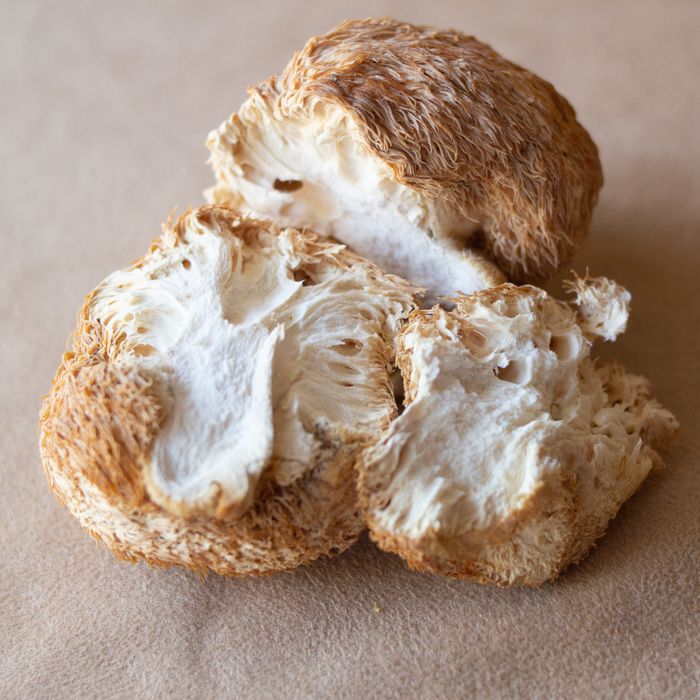 Ежовик гребенчатый гриб сухой, їжовик, lion's mane, ежевик,(Gericium)