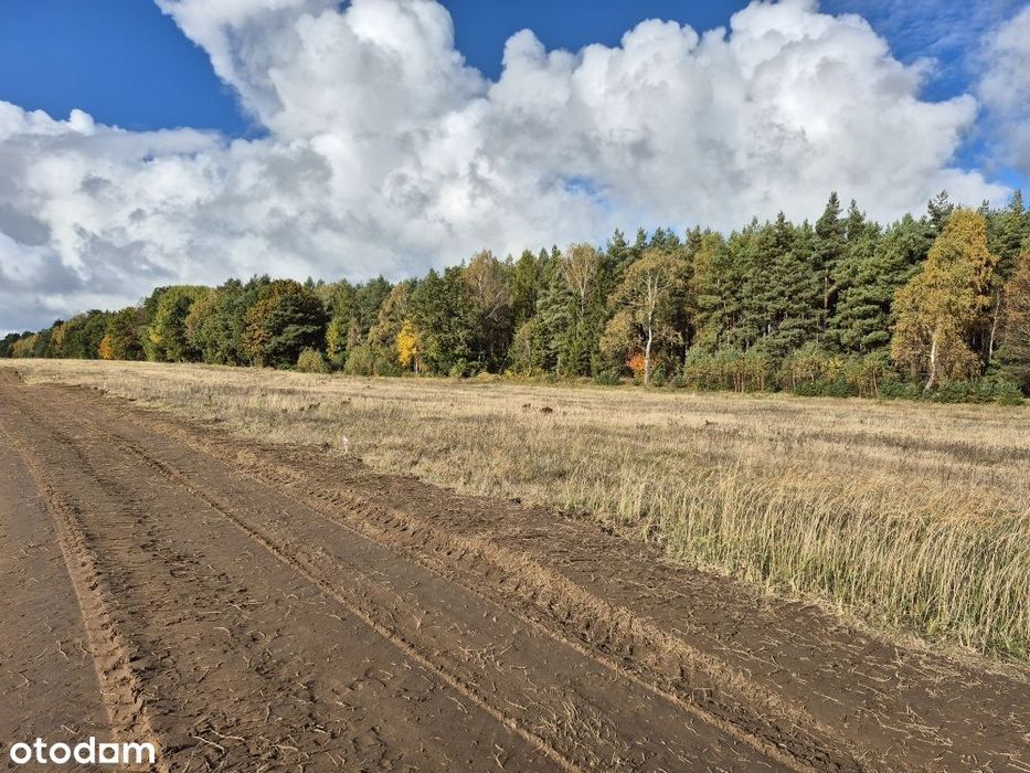 Działki Budowlane Przy Lesie Państwowym