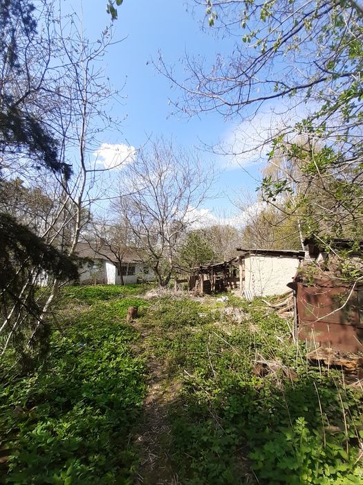 Земельна ділянка з будинком в с.Плужне Хмельницька область