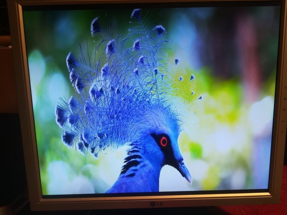 Smart TV Box +Samsung 20'',LED monitor.