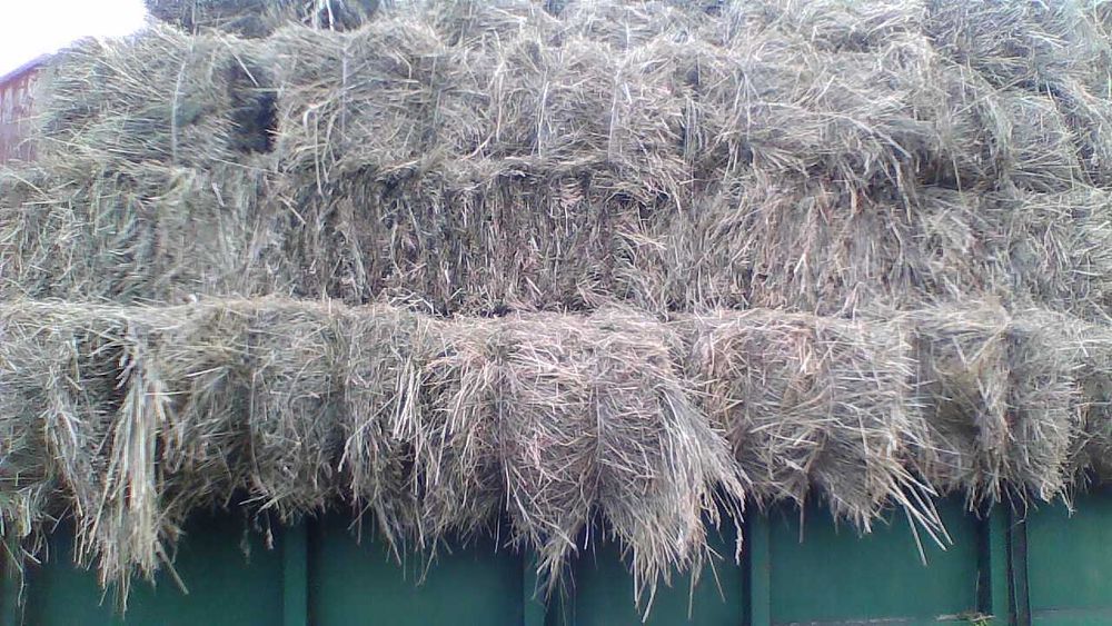 Sprzedam siano kostka 2025 rok zielone