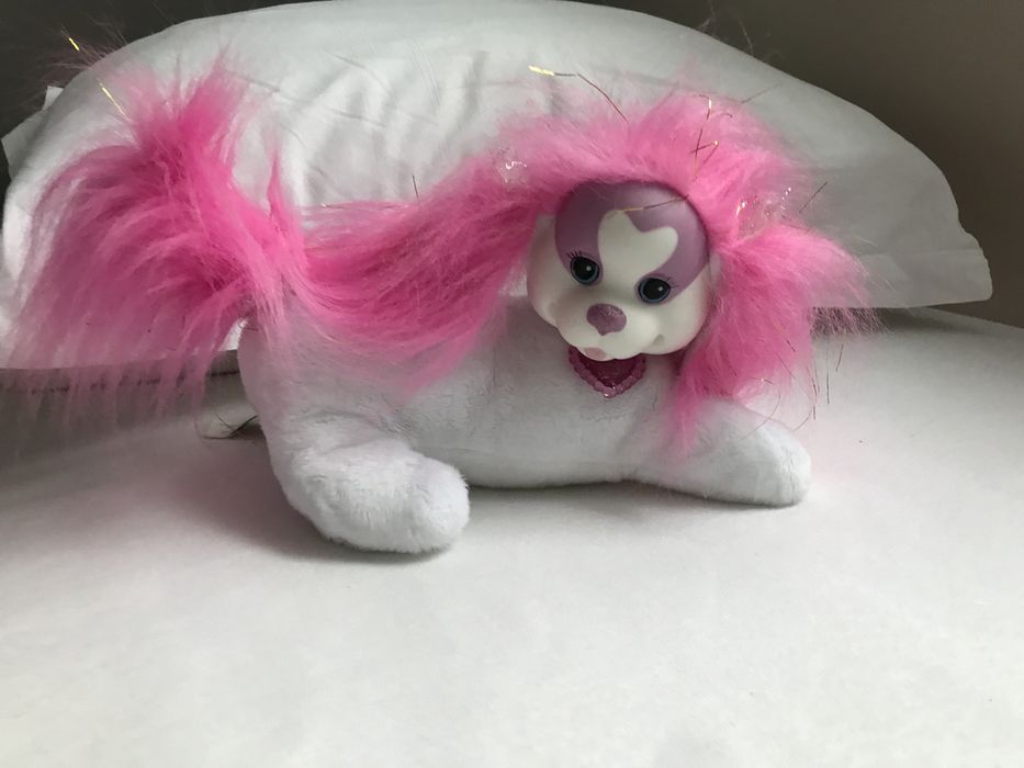 Psia mama ze szczenietami