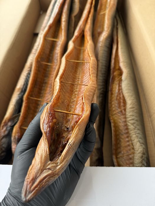 Вугор шацький копчений світязь айфон 17