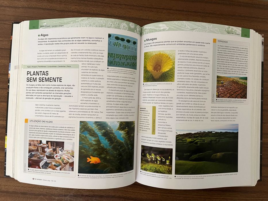 Grande Livro da Ciência