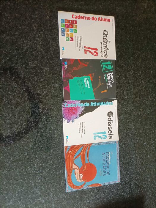 Cadernos de atividades 12 ano NOVOS!!!