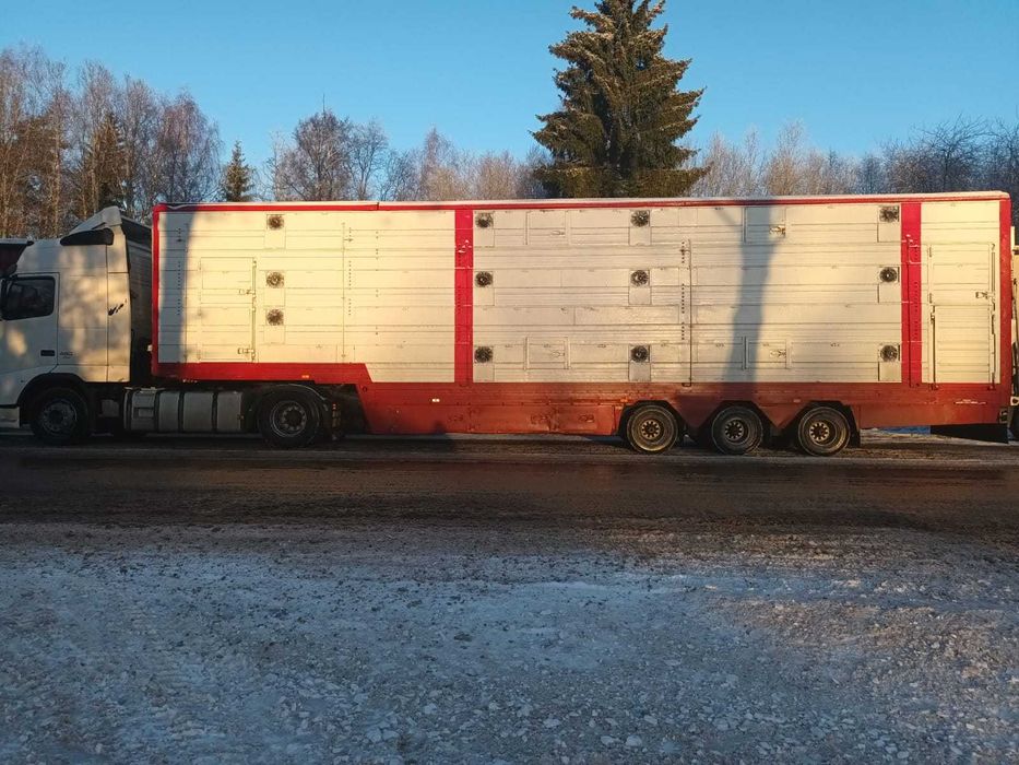 Напівпричіп для перевезення худоби - скотовоз
