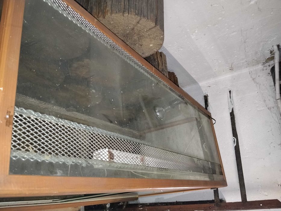 Duże terrarium. OPOLE