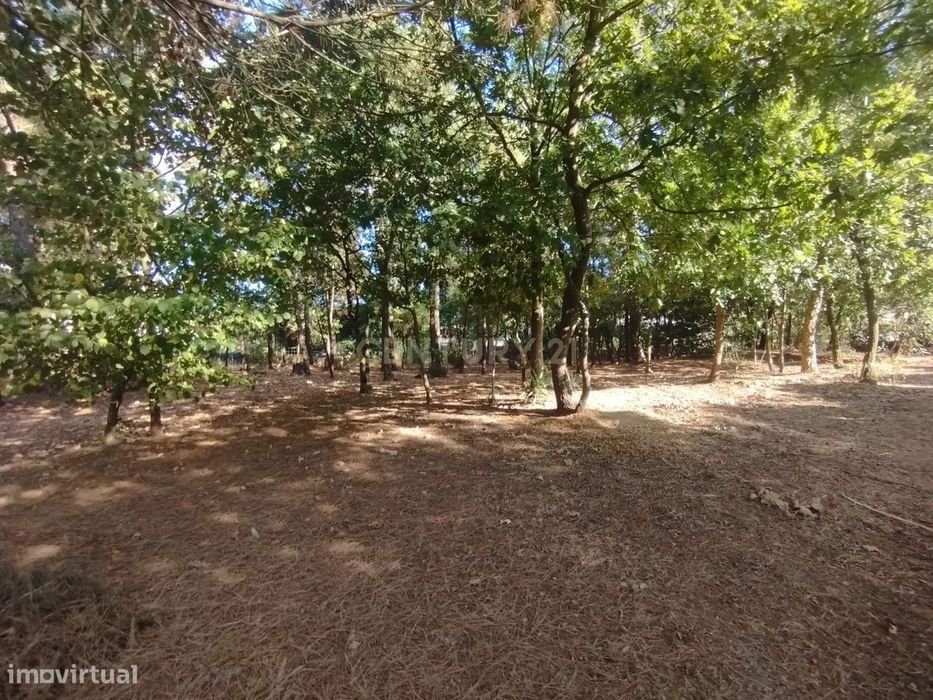 Terreno com anexo para construção de um condomínio privado de 5 moradi
