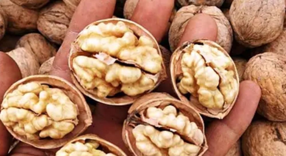 Горіхи цілі продам,урожай 2025 р, просушені.