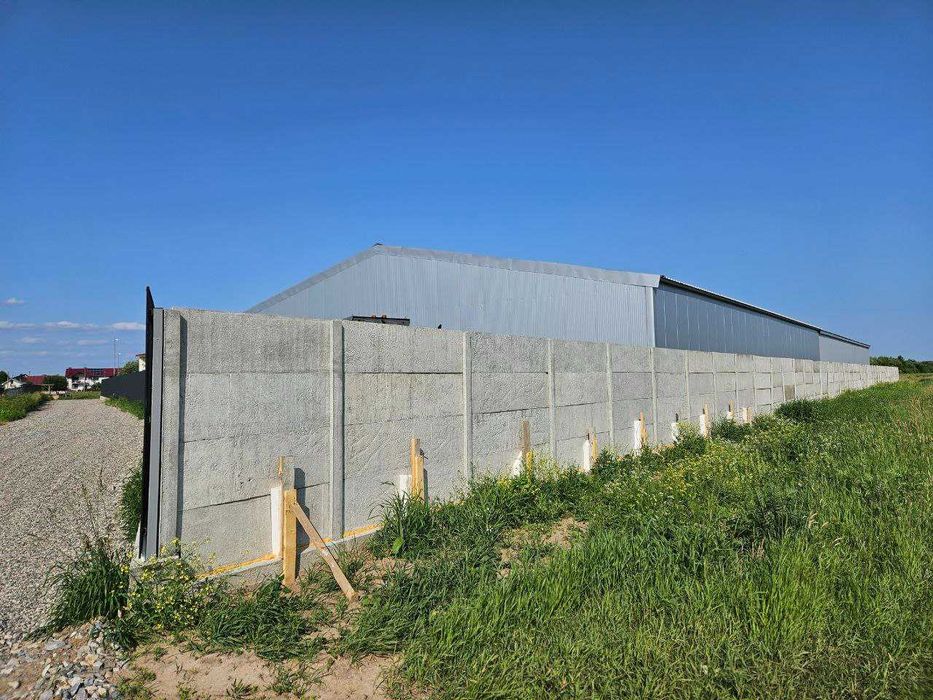 Продаж земельної ділянки 60 сотка у Крихівцях_VD