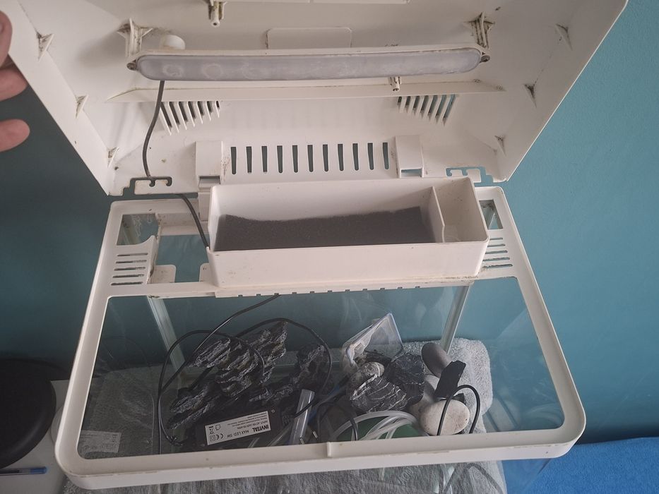 Kompletny zestaw akwariowy. Akwarium 30l gotowe do użytkowania