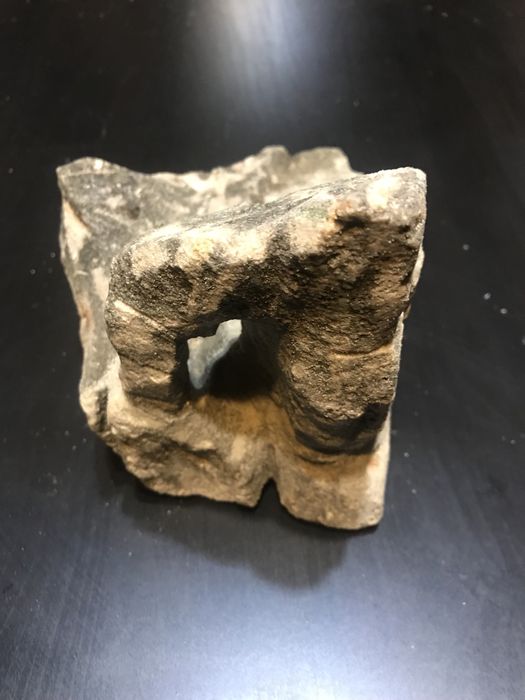 Kamień Grota dla glonojadów