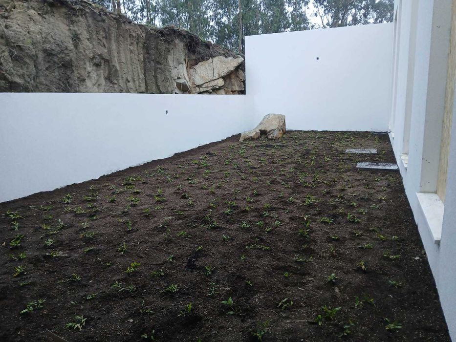 Pack Trevo (Rega Simples + Jardim Verde)