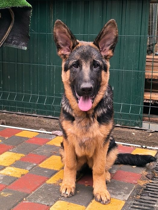 Девочка. КСУ, 4 месяца