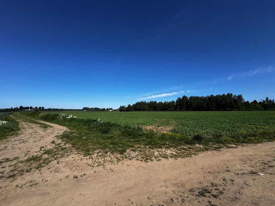 Działki budowlane na sprzedaż-Korzeniewo - Widok 2