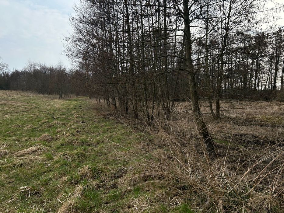 Działki budowlane Mickiewicza Pyrzyce