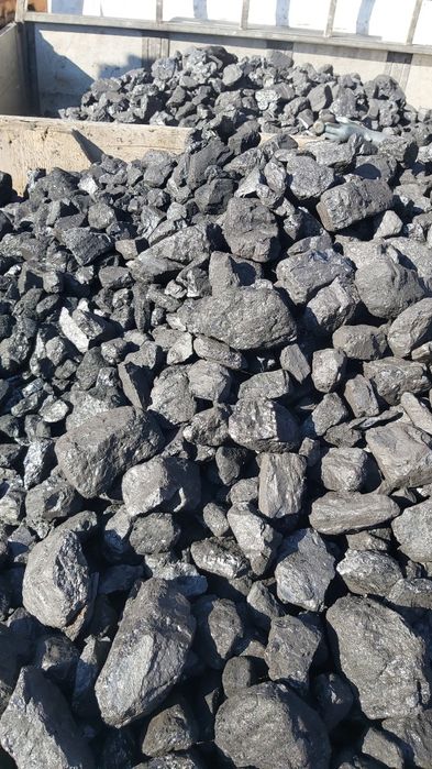 Węgiel Kostka Orzech Groszek ekogroszek