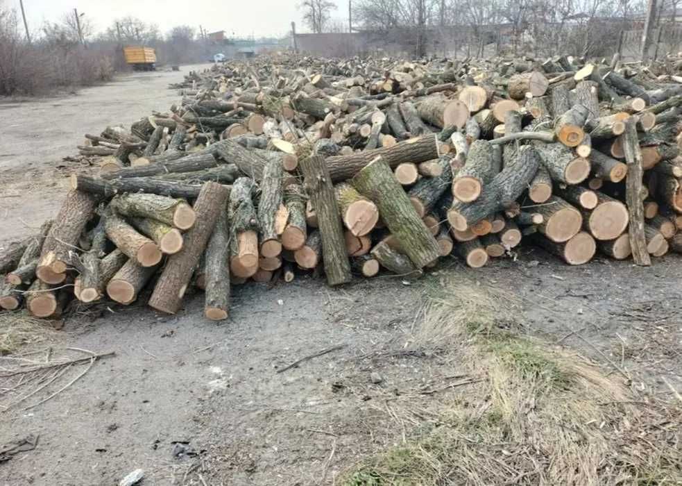 Дрова Доставка дуб ясен акація сосна береза вільха клен Рубані пиляні.