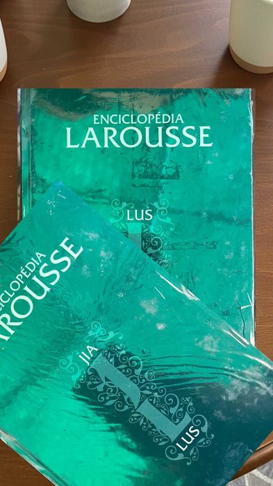 Enciclopédia Larousse 17 Volumes | Coleção de Livros Larousse | Embalada