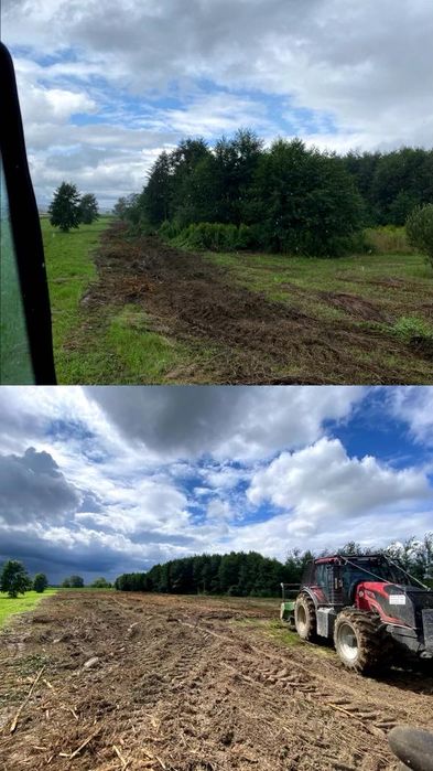 Usługi Mulczerem leśnym (karczowanie, oczyszczanie) Wycinka drzew.